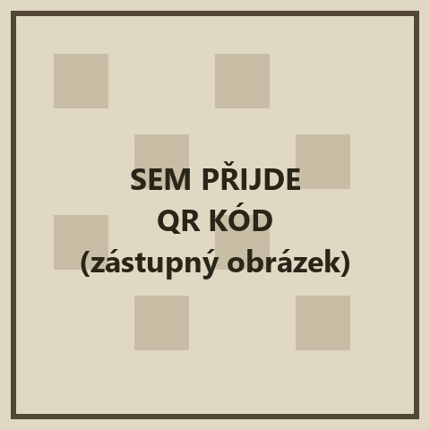 Zástupný obrázek na místě QR kódu pro platbu
